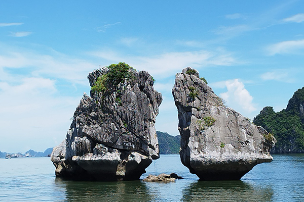 TOUR HẠ LONG TRONG NGÀY